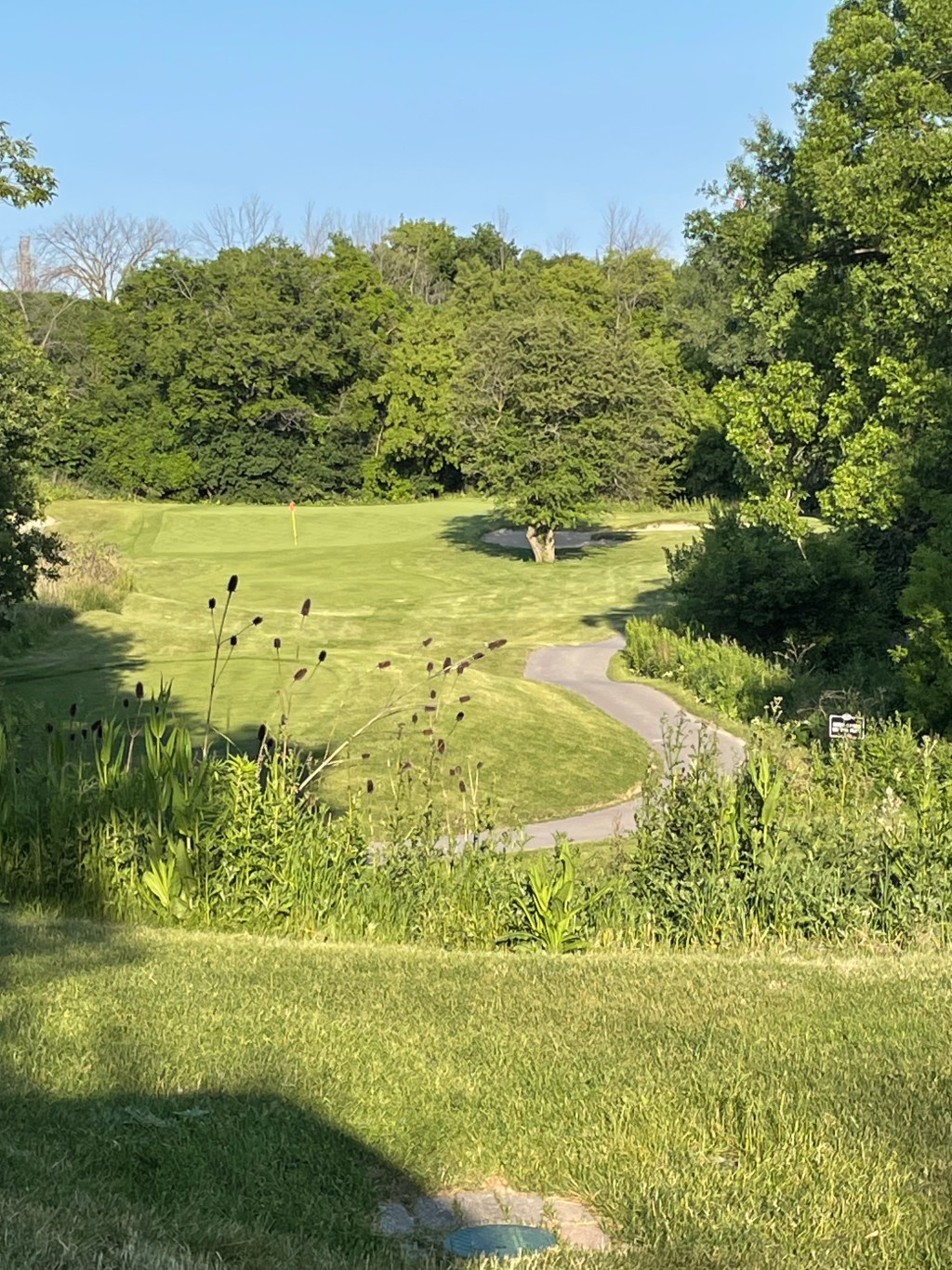 Golf Diary – June 20,&nbsp;2023